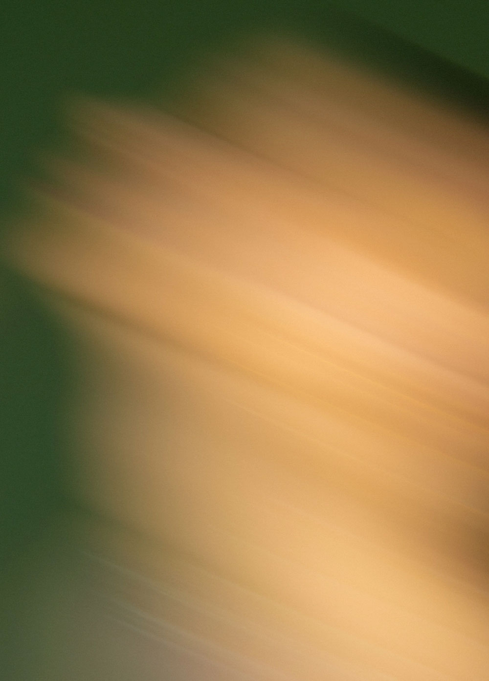 画像:undulation.02